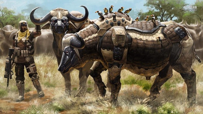 普洱茶投资分析:如何打好“预售”这张牌